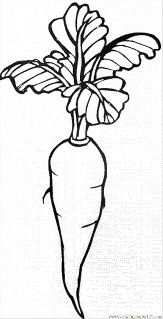 Carrot Coloring Page | Free coloring pages | VÃ¤rityskuvia | Pinterest