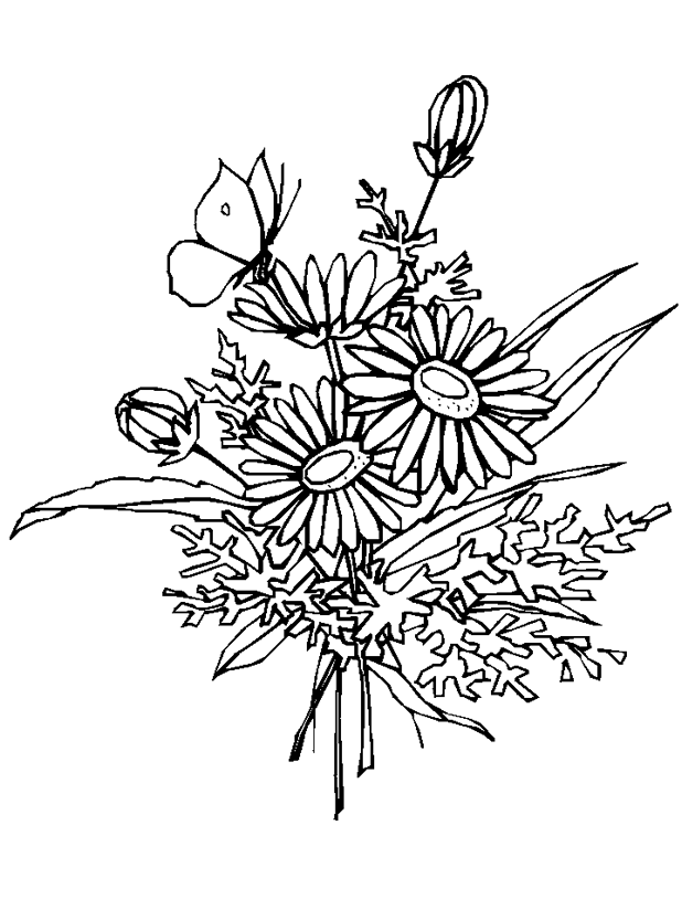 Wildflower Coloring Pages: Free Printable Templates for Relaxation