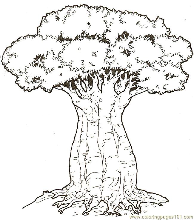 Baobob Tree Coloring Page for Kids - Free Trees Printable Coloring Pages  Online for Kids - ColoringPages101.com | Coloring Pages for Kids