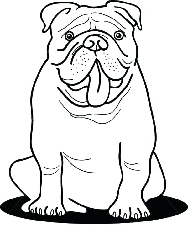 Bulldog Coloring Pages - Best Coloring Pages For Kids