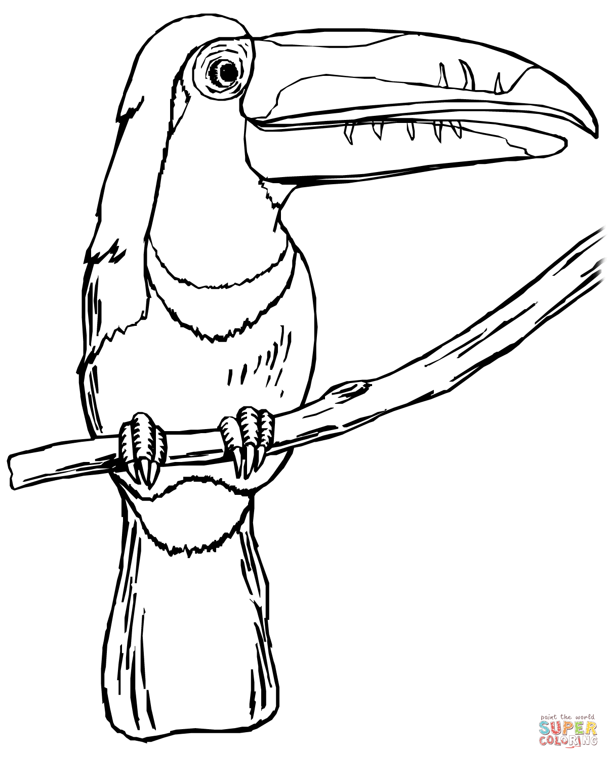 Toucan on the Tree coloring page | Free Printable Coloring Pages