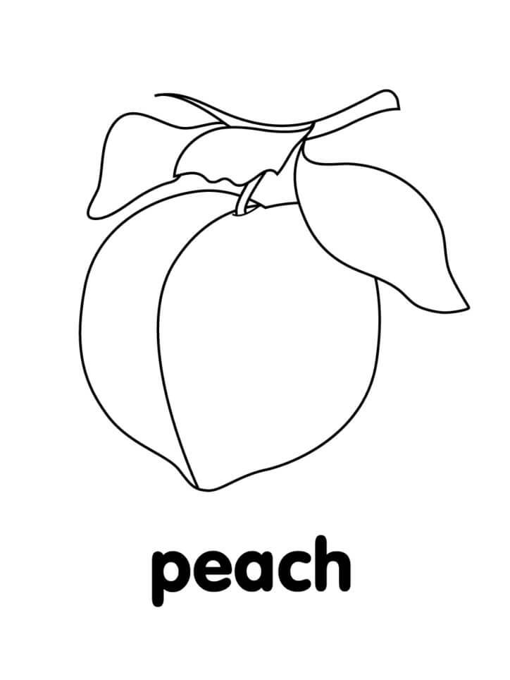 Simple Peach Fruit Coloring Page - Free Printable Coloring Pages for Kids