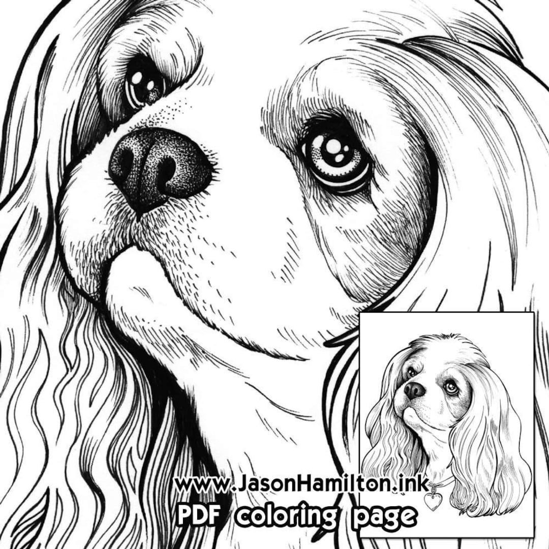 Cavalier King Charles Spaniel Dog PDF Instant Download - Etsy Canada