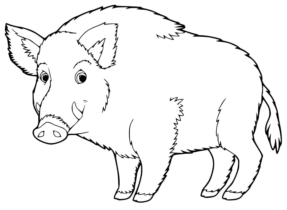 Boar 1 Coloring Page - Free Printable Coloring Pages for Kids