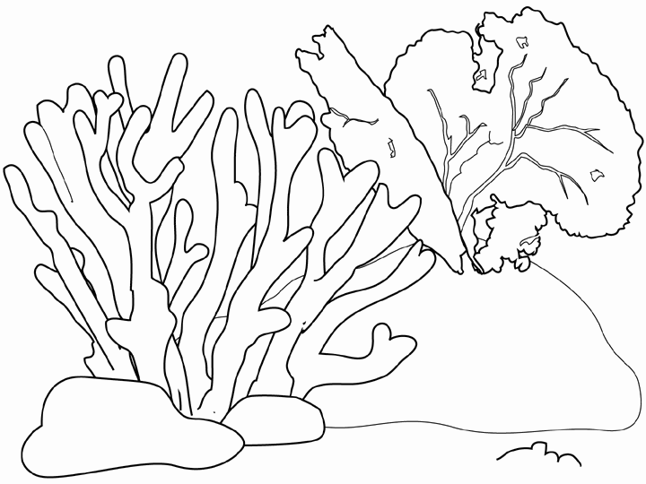 Coral Reef Coloring Page For Kids