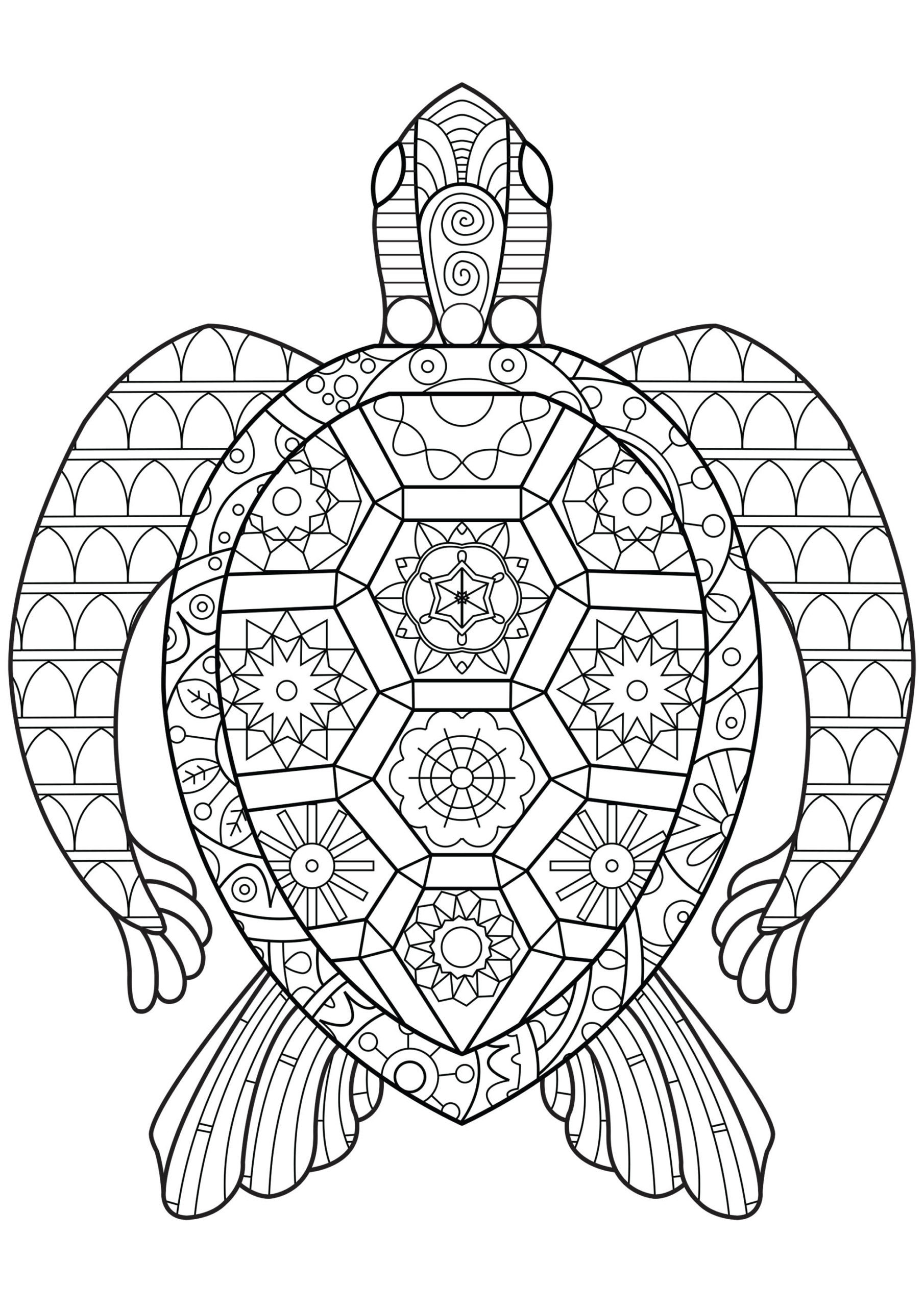 Coloring Pages : Reptile Coloring Best For Kids Iguana Zen Turtle ...