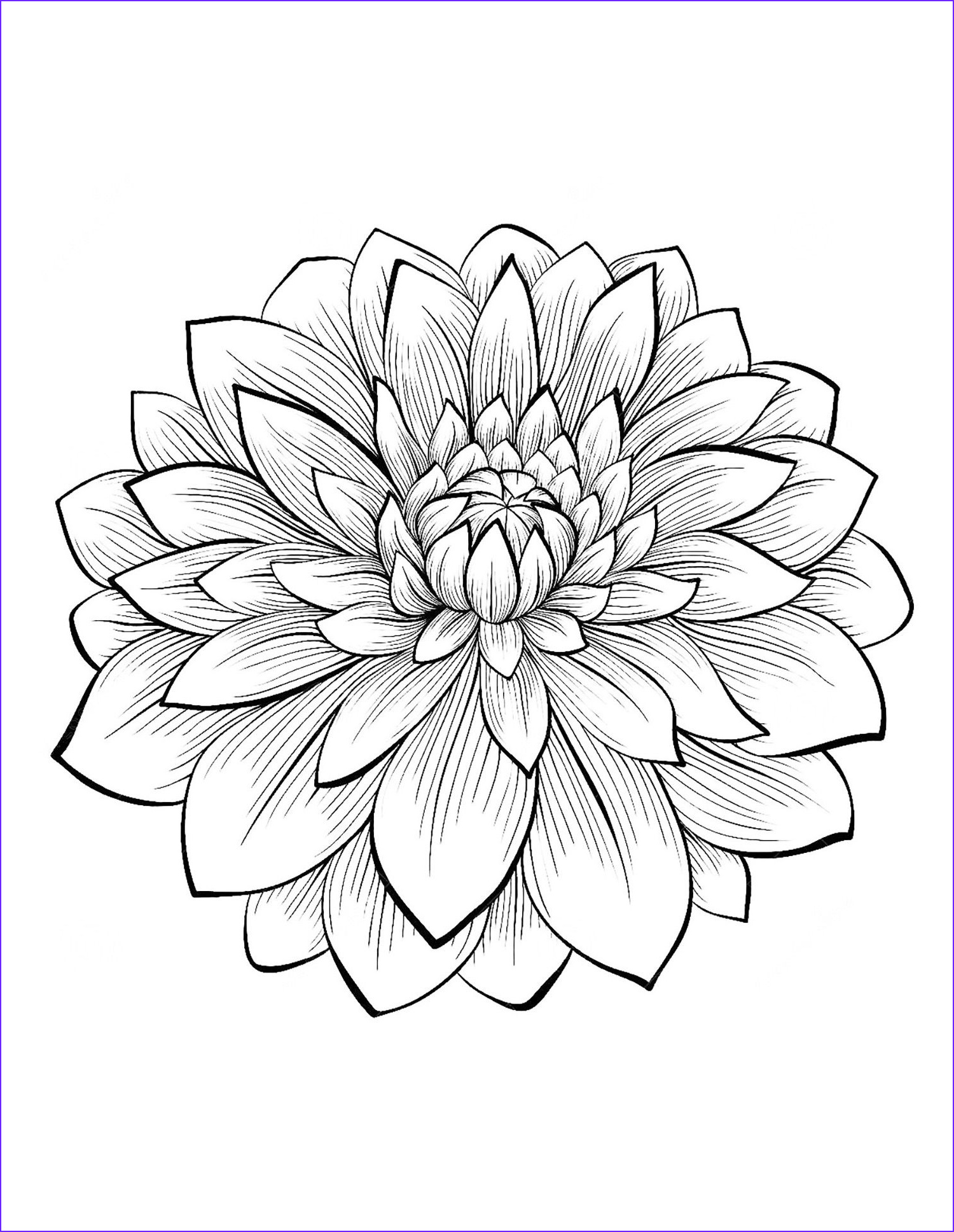 Coloring Pages : Coloring Freer Pictures Spring Sheets Flower And ...