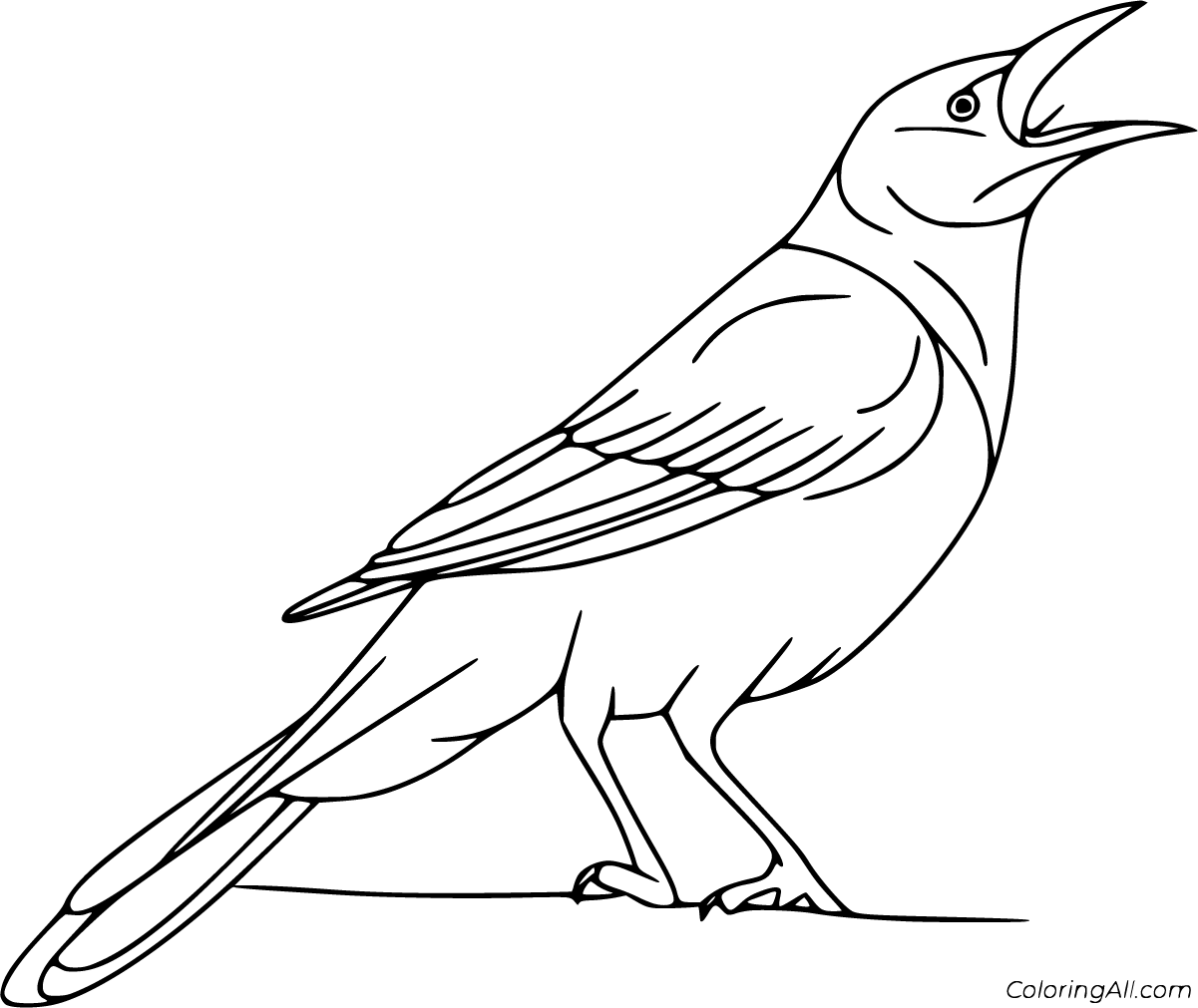 Crow Coloring Pages - ColoringAll