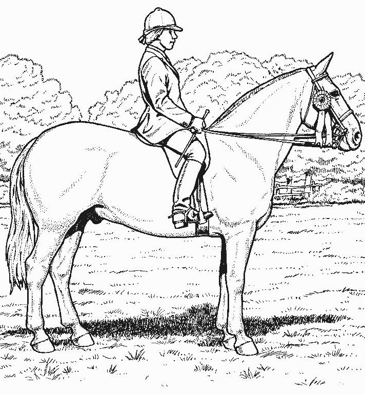 Realistic Horse Coloring Pages : Horse Coloring Pages For Free ...