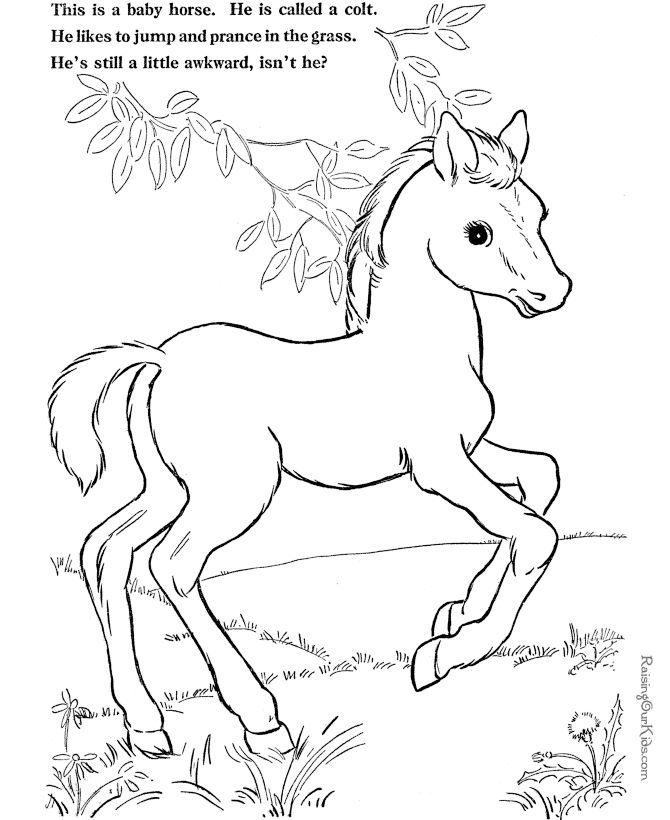 Coloring Page of Horse to Print 014