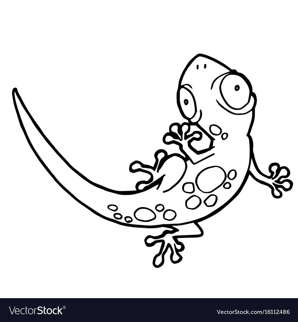 Cartoon cute gecko coloring page Royalty Free Vector Image