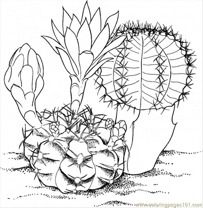Cactus 13 Coloring Page for Kids - Free Flowers Printable Coloring Pages  Online for Kids - ColoringPages101.com | Coloring Pages for Kids