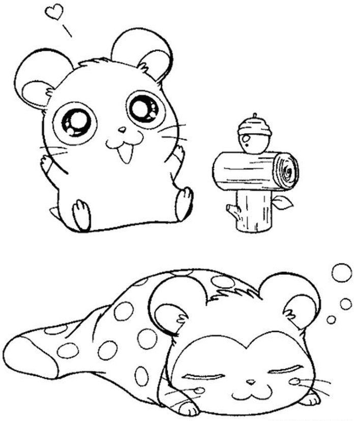 Coloring Hamster Printable Pages | Animal coloring pages, Coloring books, Cute  coloring pages