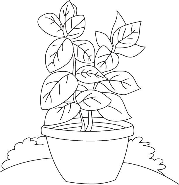 Basil vase coloring page | Download Free Basil vase coloring page for kids  | Best Coloring Pages