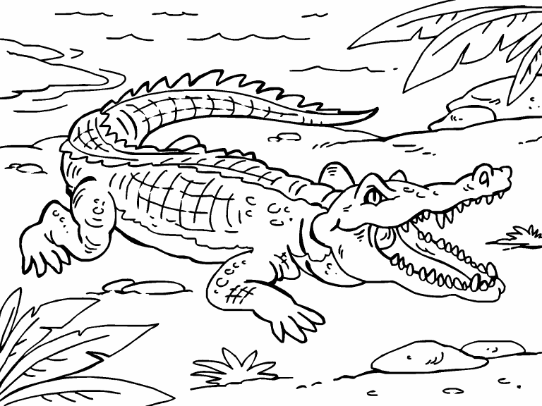 Free Coloring Page 28 Feb 2020 Crocodile