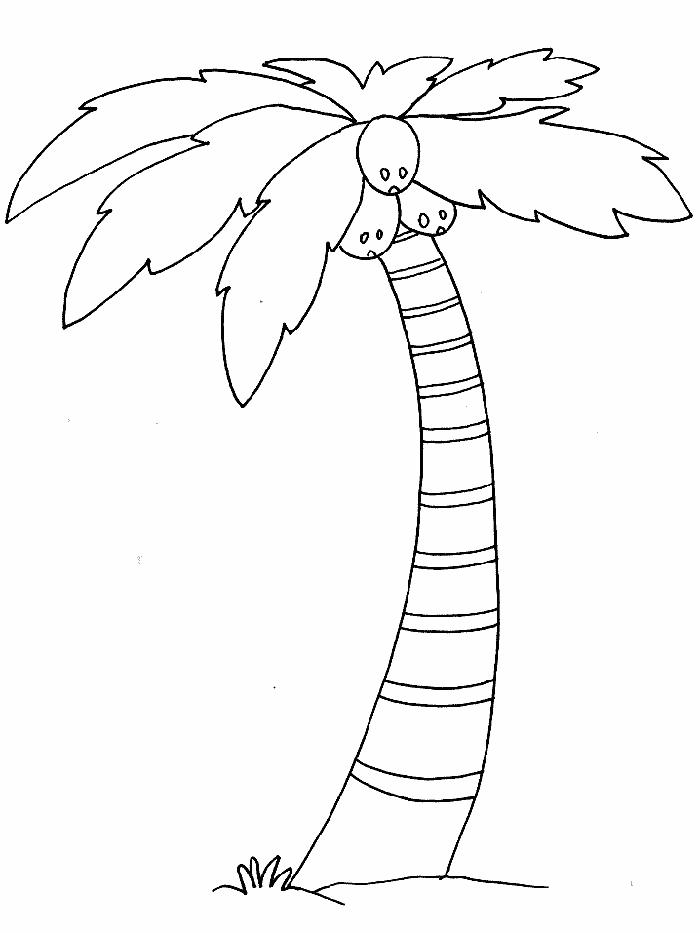 The Word Free Palm Tree Coloring Page This Free Nature Coloring 
