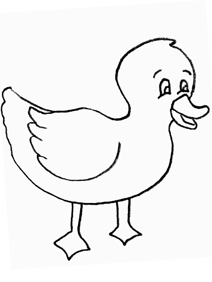 Printable Duck Coloring Pages For Kids 17