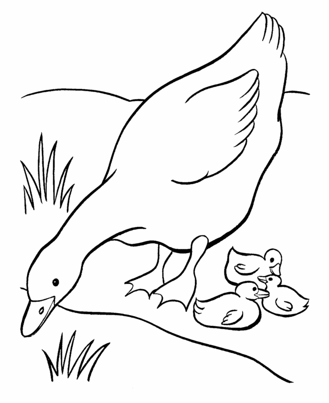 Goose Animal Coloring Pages To Kids