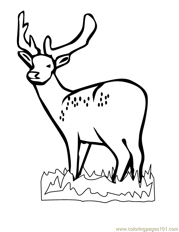 Cute Deer Coloring Page For Kids