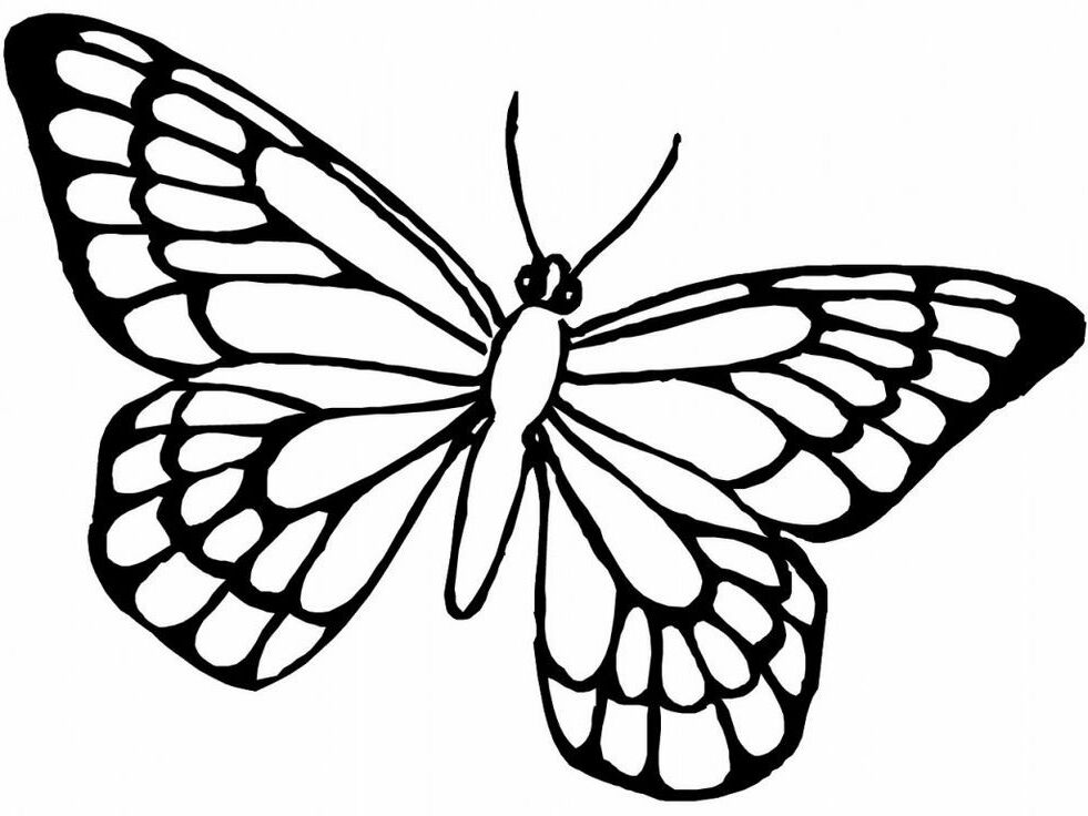 Monarch-Butterfly-Coloring-Page-768x1024 | Tracing Club