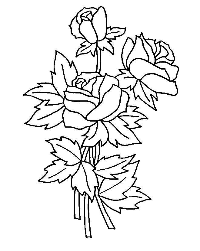 Coloring Pages Of Roses 257 | Free Printable Coloring Pages
