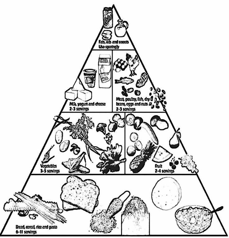 Pin by pam tan on Nutrition Curriculum