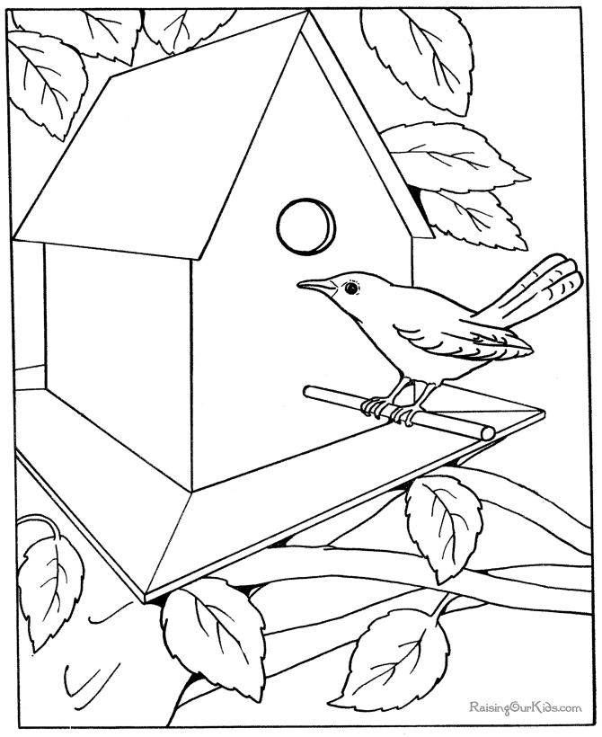 nt cartoon Colouring Pages