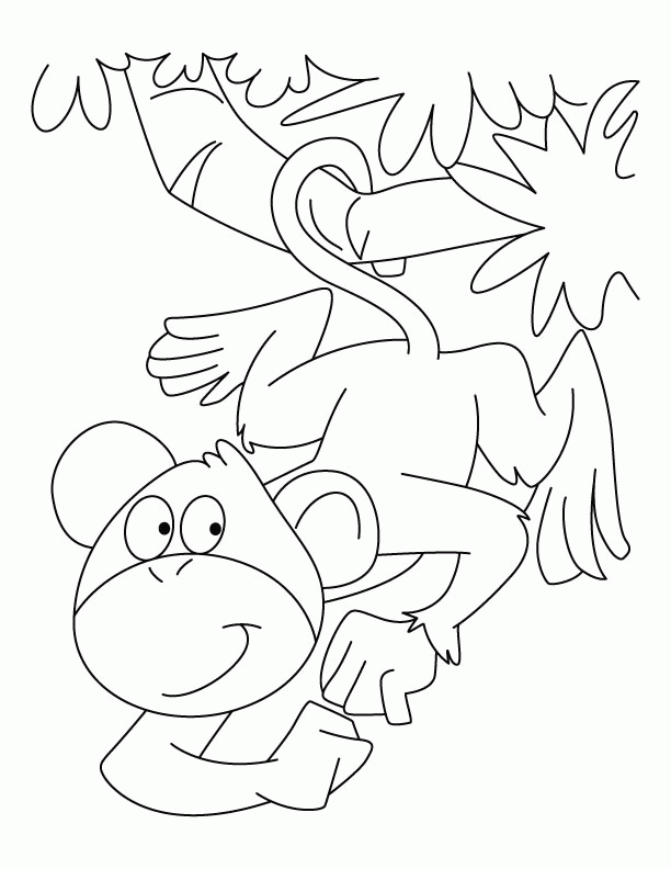 Spider monkey coloring pages | Download Free Spider monkey 