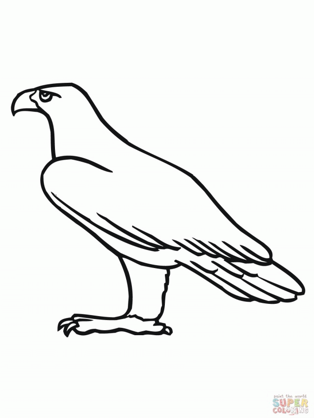 Golden Eagle Coloring Super Thingkid 126520 Eagle Coloring Pages 