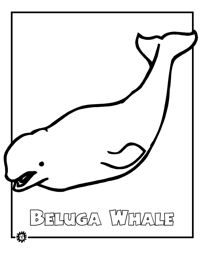 Beluga Whale coloring page - Animals Town - animals color sheet 