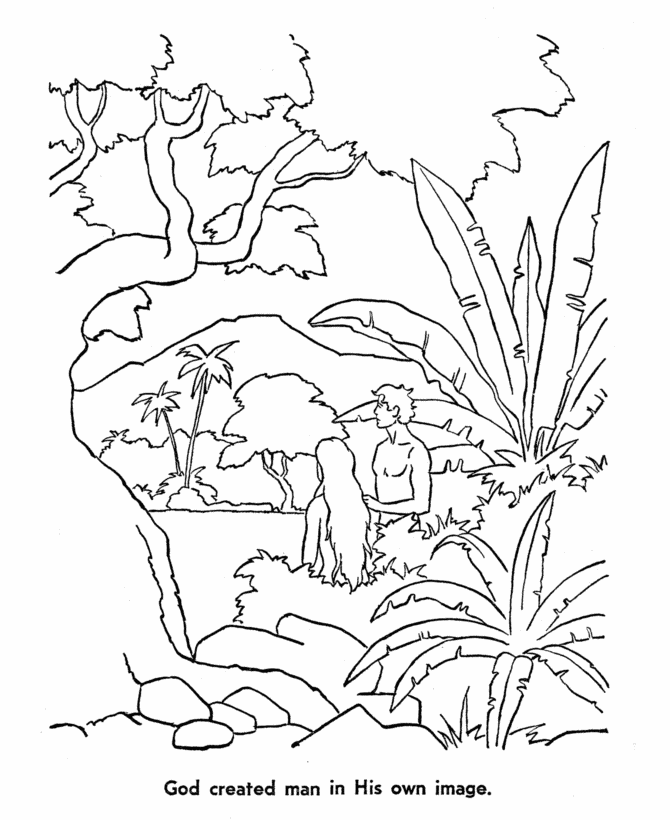 creation 7 Colouring Pages (page 3)