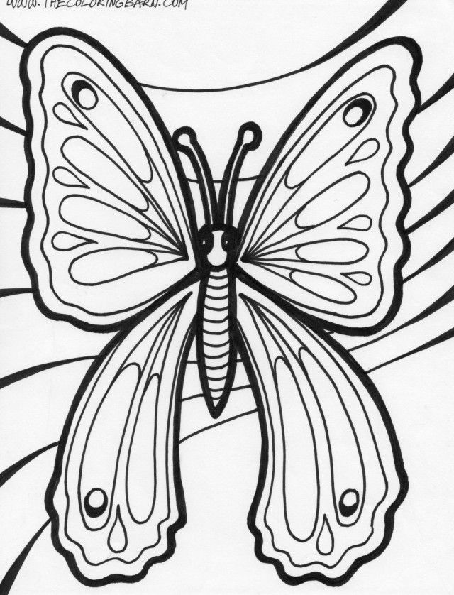 Butterfly The Coloring Barn Printable Coloring Pages 130960 