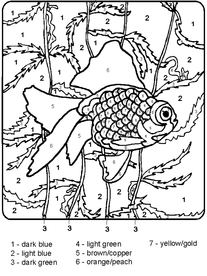 Fish coloring pages | Coloring-