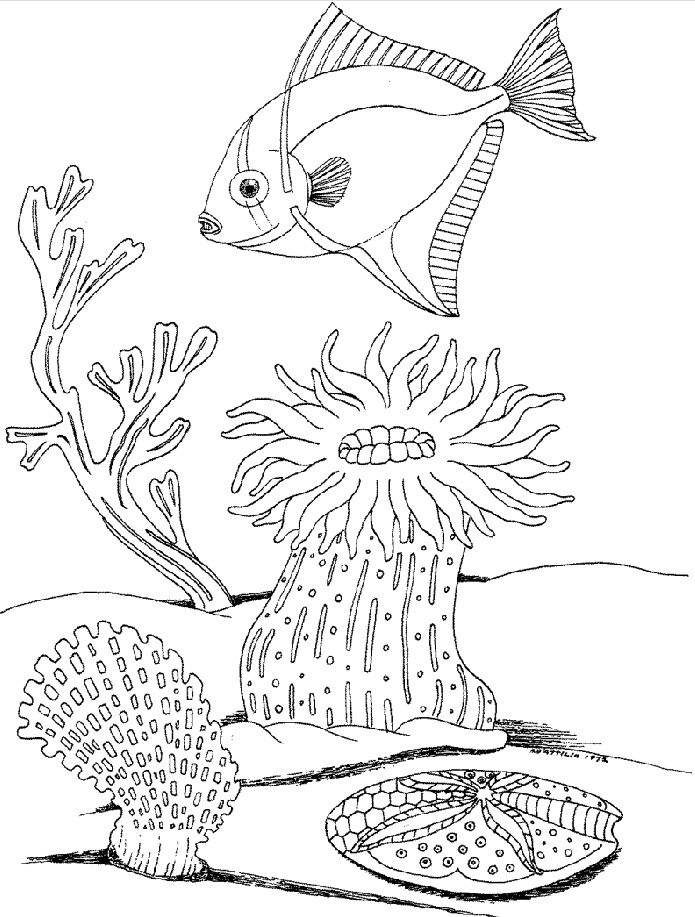 Underwater Free Coloring Pages To Print: Underwater Free Coloring 