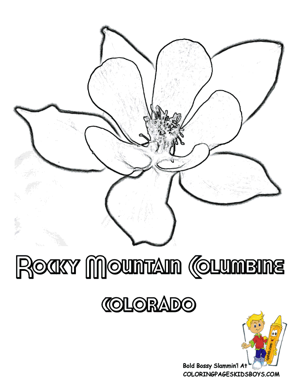 Flower Coloring Sheets | States Alabama-Georgia | Flower |Free 