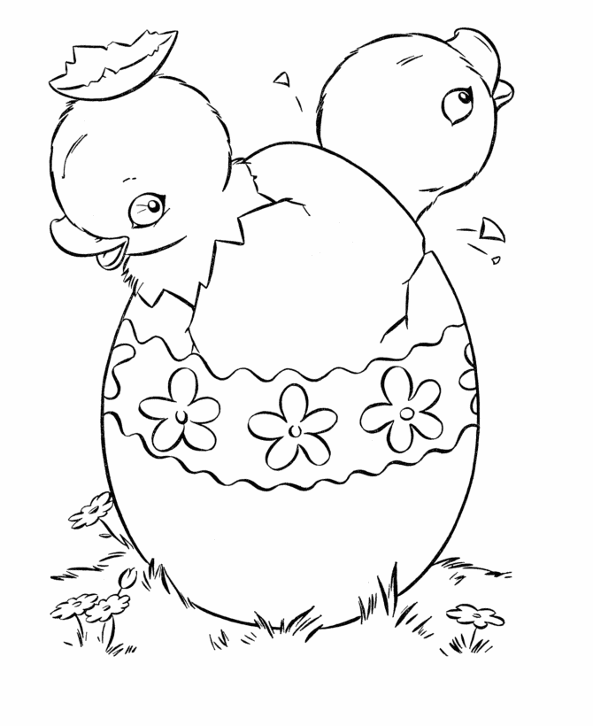 Coloring Pages Of Hawks | Kids Coloring Pages | Printable Free 