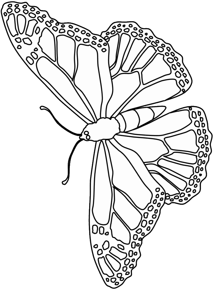 Lily With Butterflies Coloring - Kids Colouring Pages
