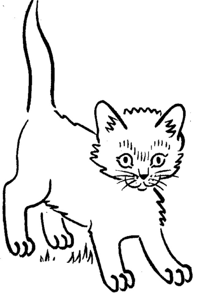 Kitten Coloring Pages | Coloring Ville