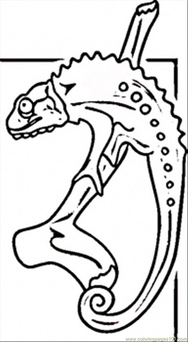 desert lizard Colouring Pages (page 3)