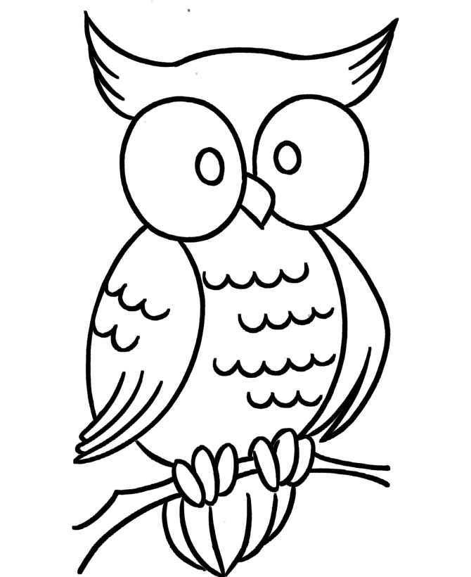 Cute Owl Coloring Page - Kids Colouring Pages
