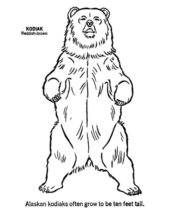 Wild Animal Coloring Pages | Kodiak bear standing up Coloring Page 