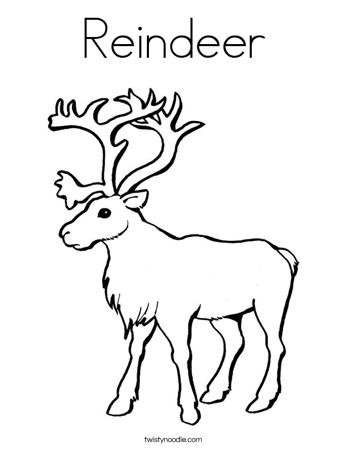 Reindeers Colouring Pages