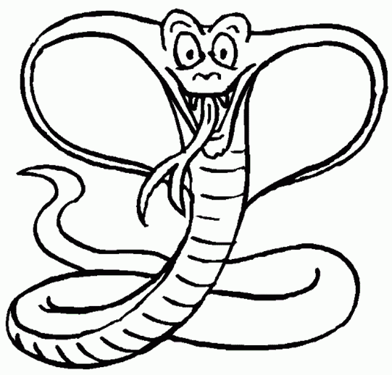 Coloring Pages Cobra - Kids Colouring Pages