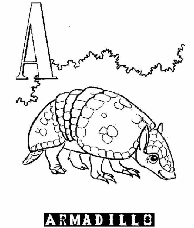 Printable Animal Alphabet Armadillo | Laptopezine.