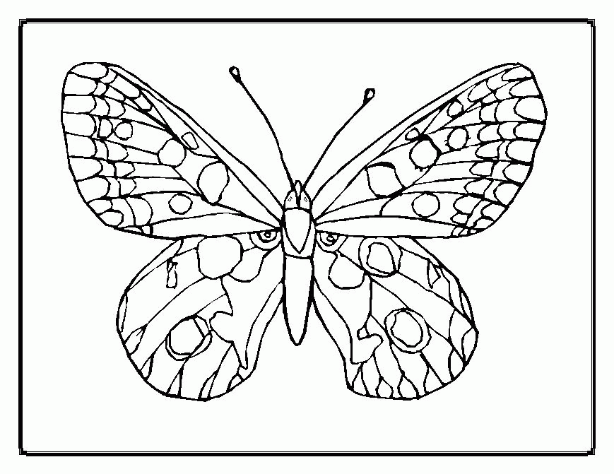 Free Printable Pictures Of Flowers | Free coloring pages