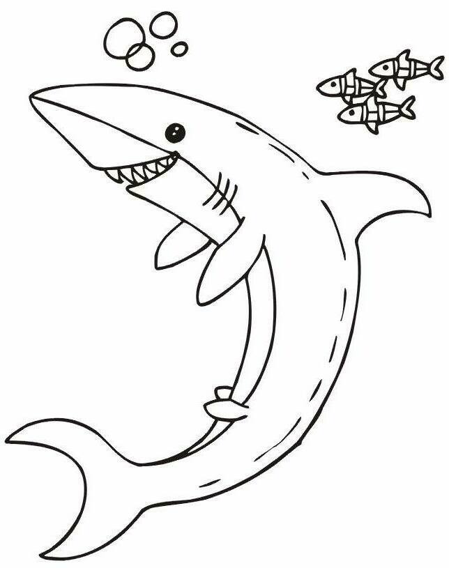 Shark Coloring Pages For Amusement and Fun