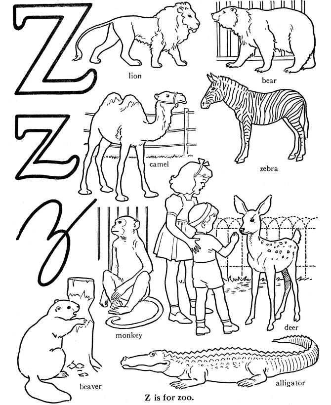 Letter Z - Abc Coloring Book Page