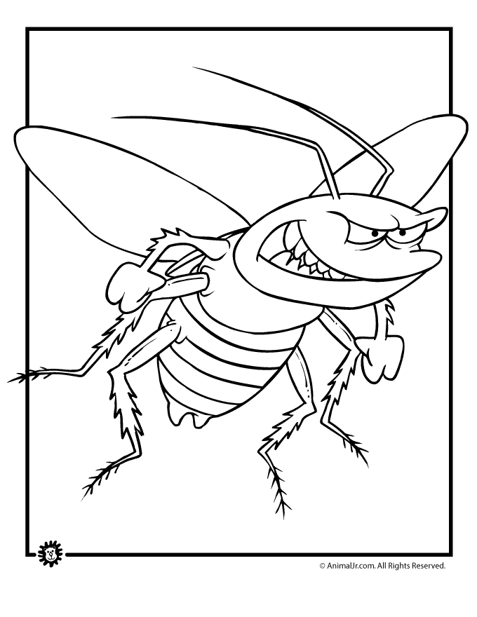 bugs coloring pages animal image search results
