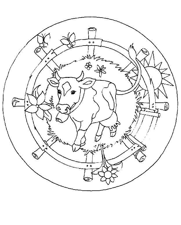 Coloring Page - Cow coloring pages 21