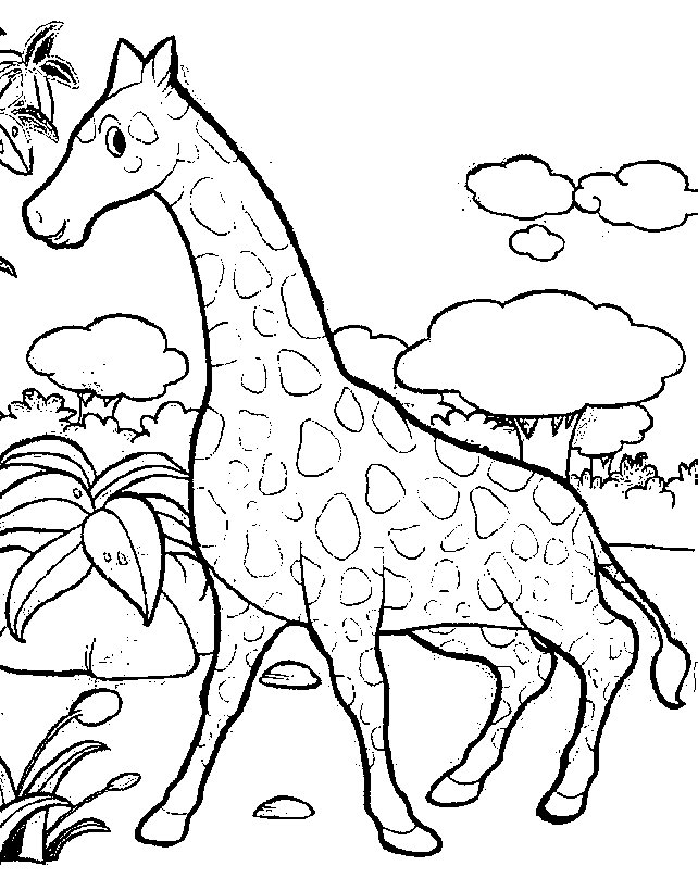 Giraffe Coloring Pages - Coloringpages1001.